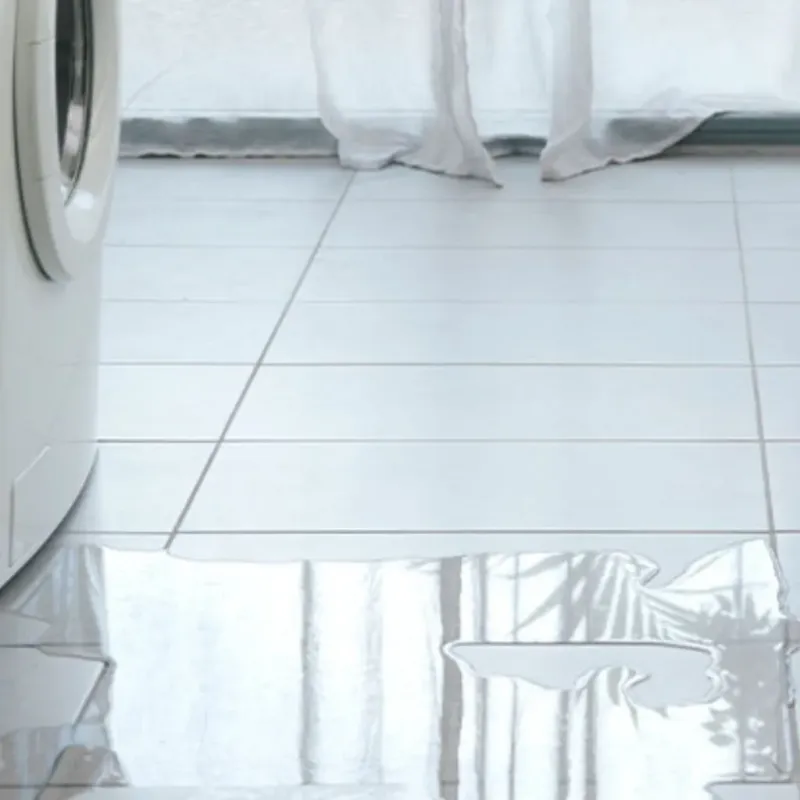 Appliance Leak Cleanup in Mendota, IL