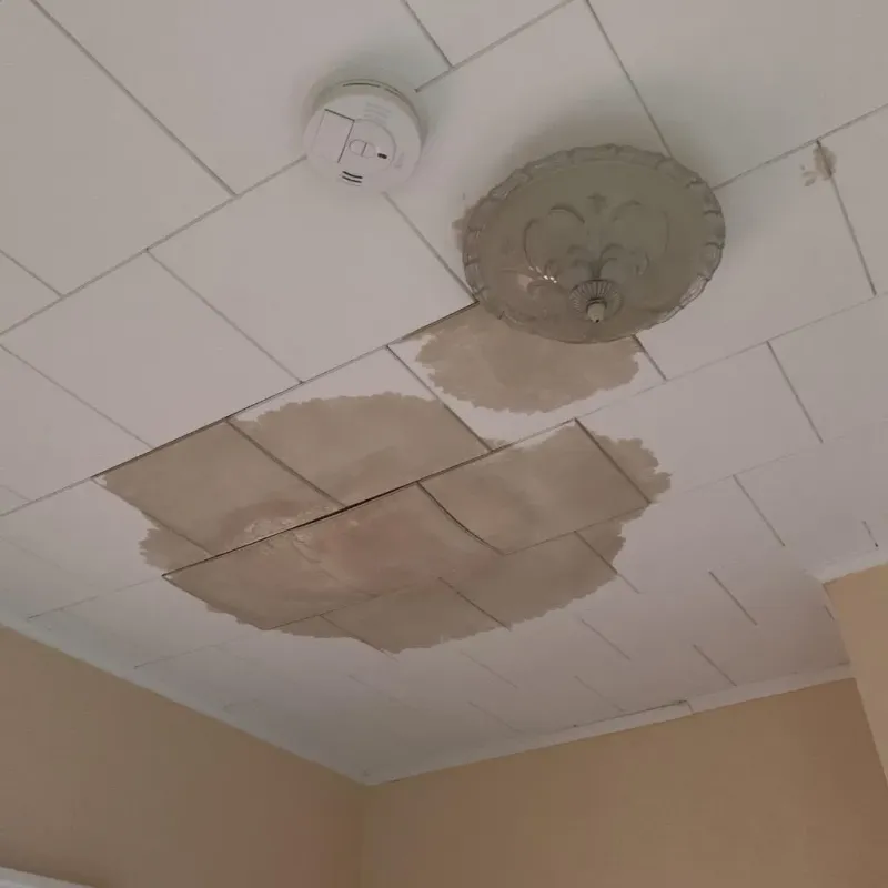 Ceiling Water Damage Repair in Mendota, IL