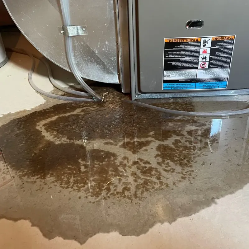 Pipe Burst and Leak Restoration in Mendota, IL
