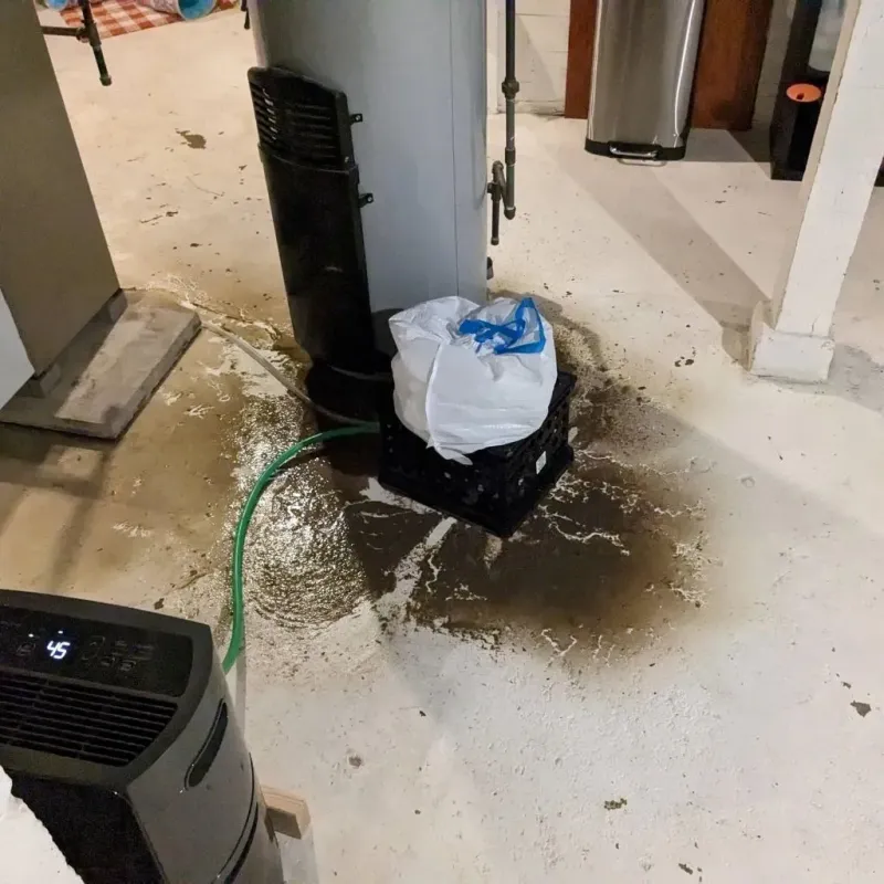 Sewage Backup Cleanup Service in Mendota, IL